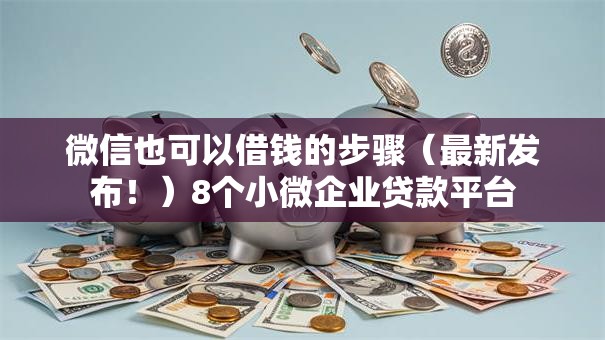 微信也可以借钱的步骤（最新发布！）8个小微企业贷款平台