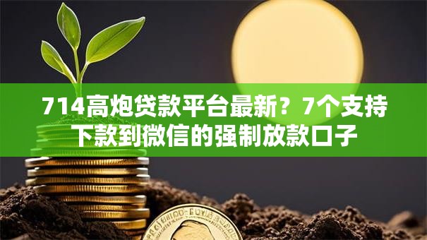 714高炮贷款平台最新?7个支持下款到微信的强制放款口子 714高炮贷款平台最新?7个支持下款到微信的强制放款口子