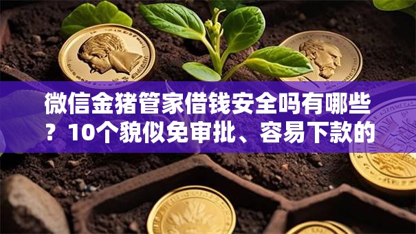 微信金猪管家借钱安全吗有哪些?10个貌似免审批、容易下款的借款平台2025合集 微信金猪管家借钱安全吗有哪些?10个貌似免审批、容易下款的借款平台2025合集