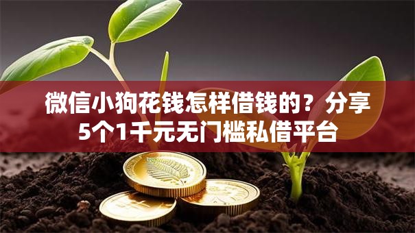 微信小狗花钱怎样借钱的?分享5个1千元无门槛私借平台 微信小狗花钱怎样借钱的?分享5个1千元无门槛私借平台