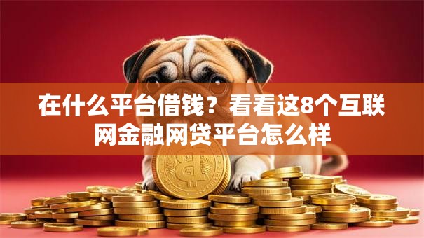 在什么平台借钱?看看这8个互联网金融网贷平台怎么样 在什么平台借钱?看看这8个互联网金融网贷平台怎么样