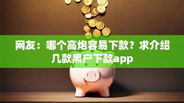 网友：哪个高炮容易下款？求介绍几款黑户下款app