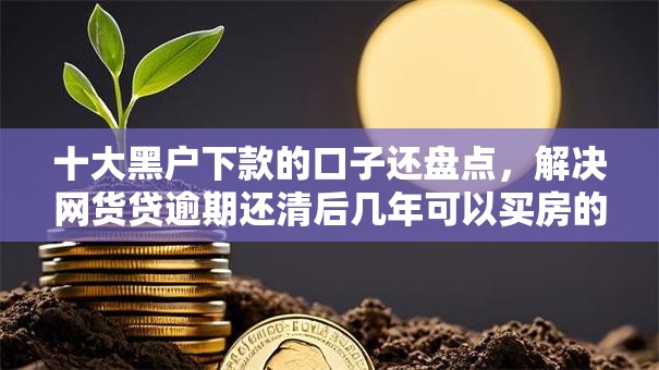 十大黑户下款的口子还盘点，解决网货贷逾期还清后几年可以买房的问题