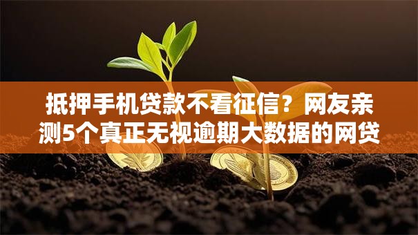 抵押手机贷款不看征信？网友亲测5个真正无视逾期大数据的网贷软件盘点
