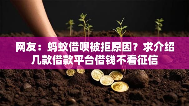 网友：蚂蚁借呗被拒原因？求介绍几款借款平台借钱不看征信