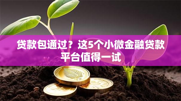 贷款包通过?这5个小微金融贷款平台值得一试 贷款包通过?这5个小微金融贷款平台值得一试