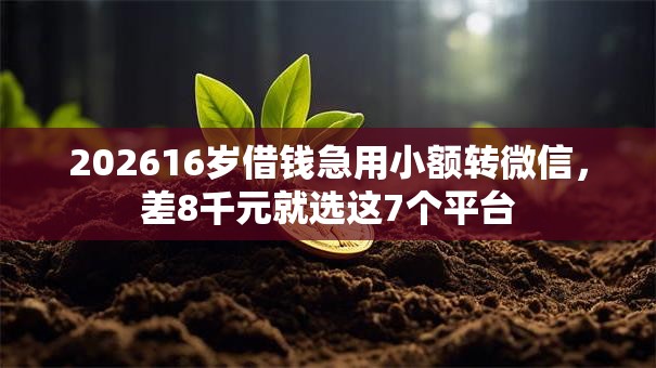 202616岁借钱急用小额转微信，差8千元就选这7个平台