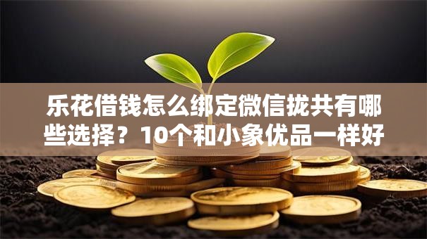 乐花借钱怎么绑定微信拢共有哪些选择?10个和小象优品一样好下款的口子详解 乐花借钱怎么绑定微信拢共有哪些选择?10个和小象优品一样好下款的口子详解
