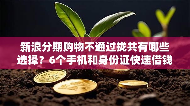 新浪分期购物不通过拢共有哪些选择?6个手机和身份证快速借钱口子详解 新浪分期购物不通过拢共有哪些选择?6个手机和身份证快速借钱口子详解