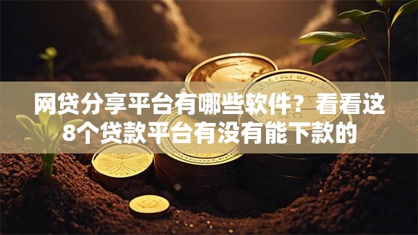 网贷分享平台有哪些软件？看看这8个贷款平台有没有能下款的
