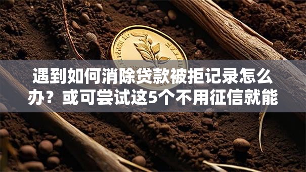 遇到如何消除贷款被拒记录怎么办?或可尝试这5个不用征信就能借钱的平台 遇到如何消除贷款被拒记录怎么办?或可尝试这5个不用征信就能借钱的平台