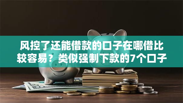 风控了还能借款的口子在哪借比较容易？类似强制下款的7个口子参考