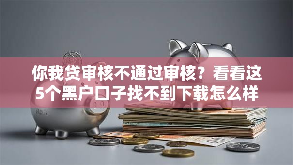 你我贷审核不通过审核？看看这5个黑户口子找不到下载怎么样