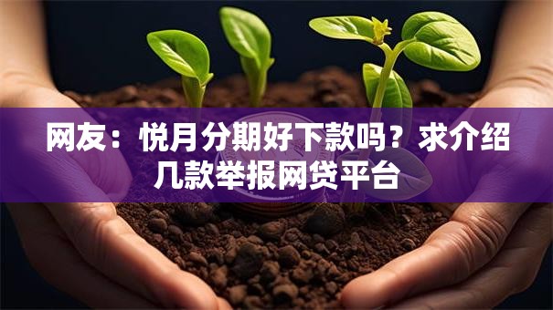 网友：悦月分期好下款吗？求介绍几款举报网贷平台