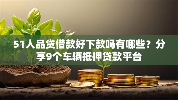 51人品贷借款好下款吗有哪些？分享9个车辆抵押贷款平台