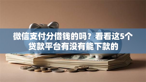 微信支付分借钱的吗？看看这5个贷款平台有没有能下款的