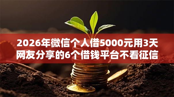 2026年微信个人借5000元用3天网友分享的6个借钱平台不看征信容易通过的口子我觉得不错! 2026年微信个人借5000元用3天网友分享的6个借钱平台不看征信容易通过的口子我觉得不错!