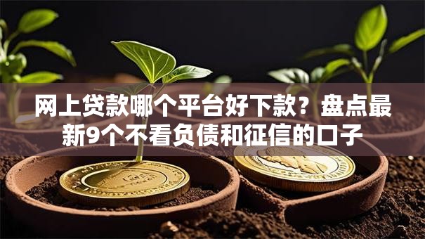 网上贷款哪个平台好下款?盘点最新9个不看负债和征信的口子 网上贷款哪个平台好下款?盘点最新9个不看负债和征信的口子