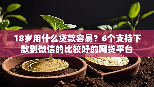 18岁用什么贷款容易?6个支持下款到微信的比较好的网贷平台 18岁用什么贷款容易?6个支持下款到微信的比较好的网贷平台