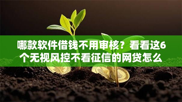 哪款软件借钱不用审核?看看这6个无视风控不看征信的网贷怎么样 哪款软件借钱不用审核?看看这6个无视风控不看征信的网贷怎么样
