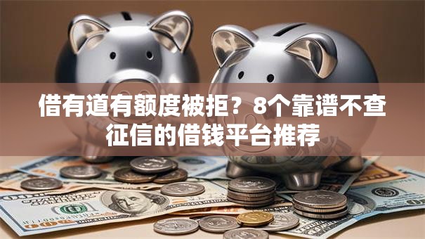 借有道有额度被拒?8个靠谱不查征信的借钱平台推荐 借有道有额度被拒?8个靠谱不查征信的借钱平台推荐