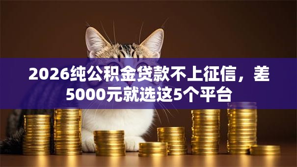 2026纯公积金贷款不上征信,差5000元就选这5个平台 2026纯公积金贷款不上征信,差5000元就选这5个平台