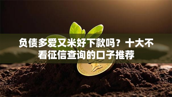 负债多爱又米好下款吗?十大不看征信查询的口子推荐 负债多爱又米好下款吗?十大不看征信查询的口子推荐