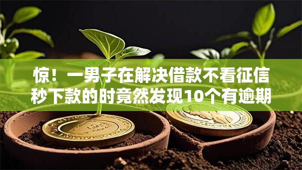 惊！一男子在解决借款不看征信秒下款的时竟然发现10个有逾期能过的贷款平台，事后分享了出来