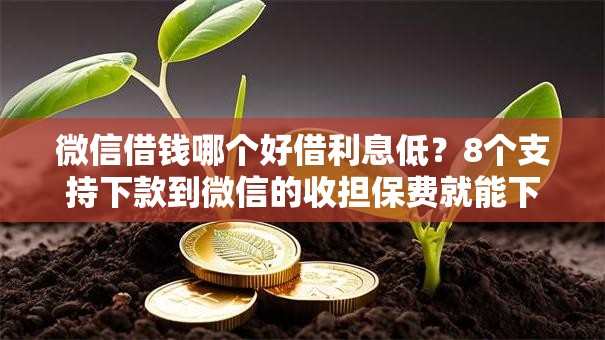 微信借钱哪个好借利息低?8个支持下款到微信的收担保费就能下款的口子 微信借钱哪个好借利息低?8个支持下款到微信的收担保费就能下款的口子