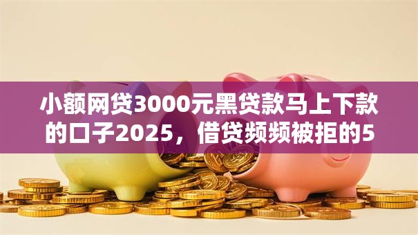 小额网贷3000元黑贷款马上下款的口子2025，借贷频频被拒的5个平台介绍