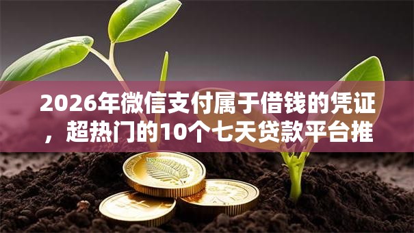 2026年微信支付属于借钱的凭证,超热门的10个七天贷款平台推荐 2026年微信支付属于借钱的凭证,超热门的10个七天贷款平台推荐