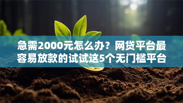 急需2000元怎么办？网贷平台最容易放款的试试这5个无门槛平台