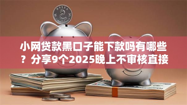 小网贷款黑口子能下款吗有哪些？分享9个2025晚上不审核直接放款口子