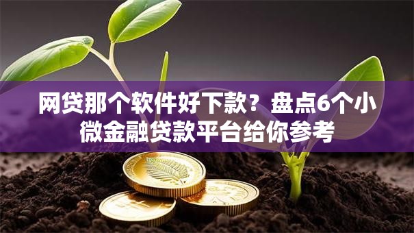 网贷那个软件好下款?盘点6个小微金融贷款平台给你参考 网贷那个软件好下款?盘点6个小微金融贷款平台给你参考