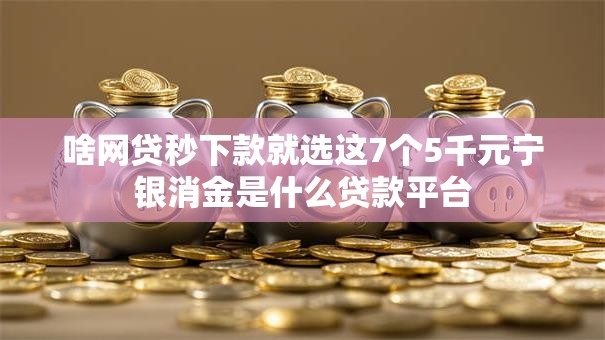 啥网贷秒下款就选这7个5千元宁银消金是什么贷款平台