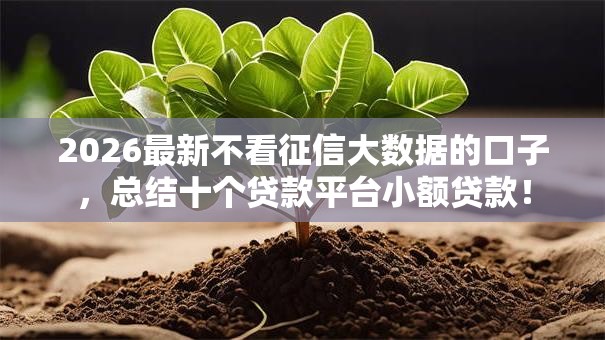 2026最新不看征信大数据的口子,总结十个贷款平台小额贷款! 2026最新不看征信大数据的口子,总结十个贷款平台小额贷款!