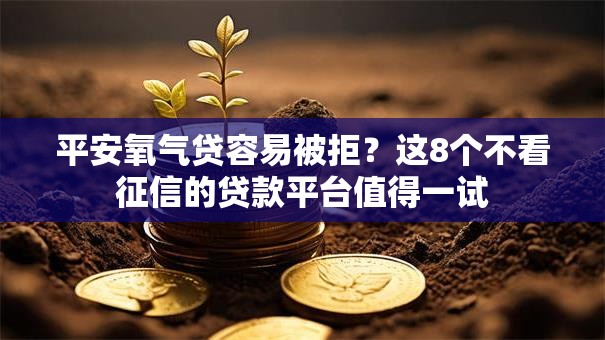 平安氧气贷容易被拒?这8个不看征信的贷款平台值得一试 平安氧气贷容易被拒?这8个不看征信的贷款平台值得一试