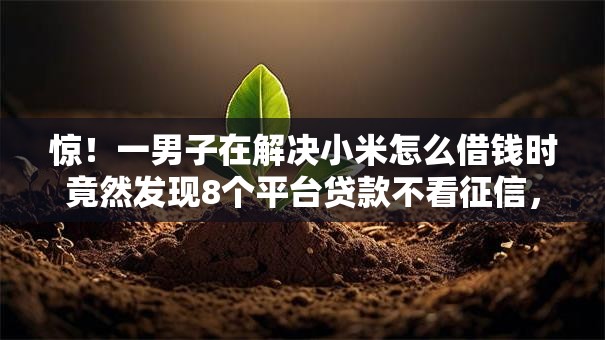 惊！一男子在解决小米怎么借钱时竟然发现8个平台贷款不看征信，事后分享了出来