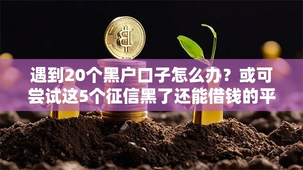 遇到20个黑户口子怎么办？或可尝试这5个征信黑了还能借钱的平台