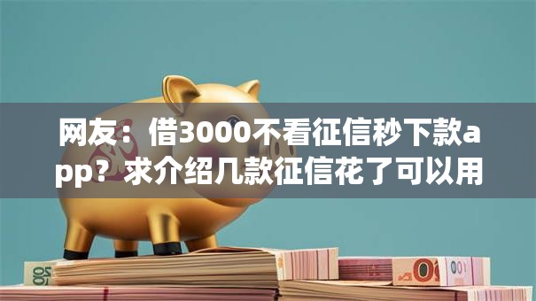 网友：借3000不看征信秒下款app？求介绍几款征信花了可以用的借款平台