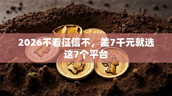 2026不看征信不，差7千元就选这7个平台