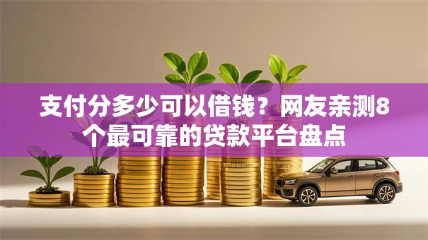 支付分多少可以借钱？网友亲测8个最可靠的贷款平台盘点