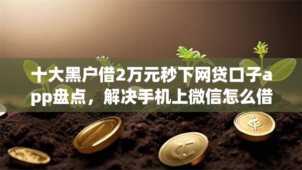 十大黑户借2万元秒下网贷口子app盘点,解决手机上微信怎么借钱的的问题 十大黑户借2万元秒下网贷口子app盘点,解决手机上微信怎么借钱的的问题