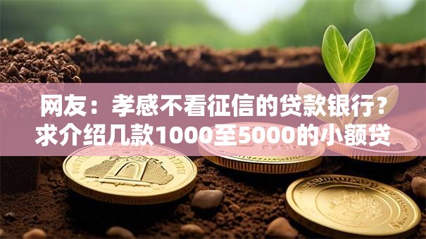 网友：孝感不看征信的贷款银行？求介绍几款1000至5000的小额贷款平台