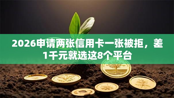 2026申请两张信用卡一张被拒,差1千元就选这8个平台 2026申请两张信用卡一张被拒,差1千元就选这8个平台