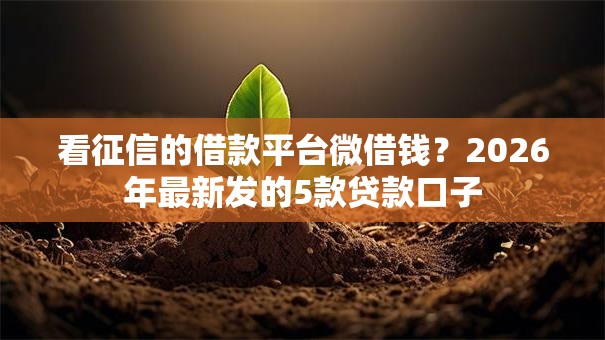 看征信的借款平台微借钱?2026年最新发的5款贷款口子 看征信的借款平台微借钱?2026年最新发的5款贷款口子