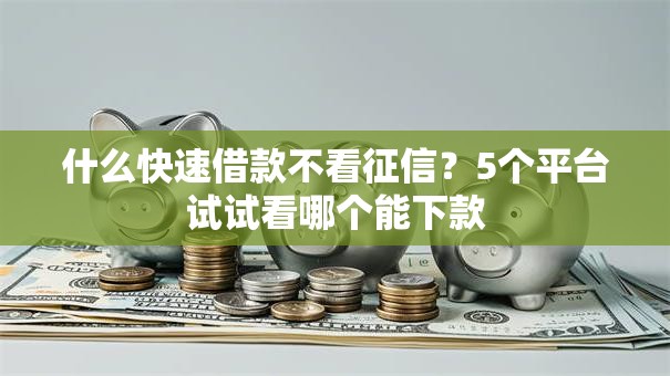 什么快速借款不看征信？5个平台试试看哪个能下款