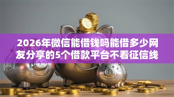 2026年微信能借钱吗能借多少网友分享的5个借款平台不看征信线上放款快我觉得不错！