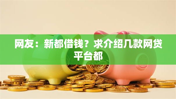 网友：新都借钱？求介绍几款网贷平台都