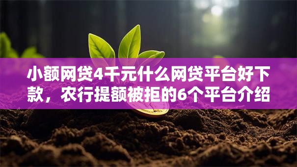 小额网贷4千元什么网贷平台好下款，农行提额被拒的6个平台介绍